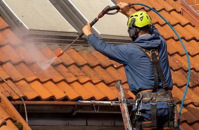 Démoussage et hydrofuge de toiture à Vernioz
